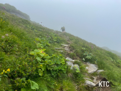 2025-07-25 GGUT Grossglockner Ultra Trail - IMG_5794